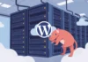 Your Cheap VPS for Pangolin: The 5-Step Setup Checklist That Actually Works cheap vps for pangolin - hosting guide